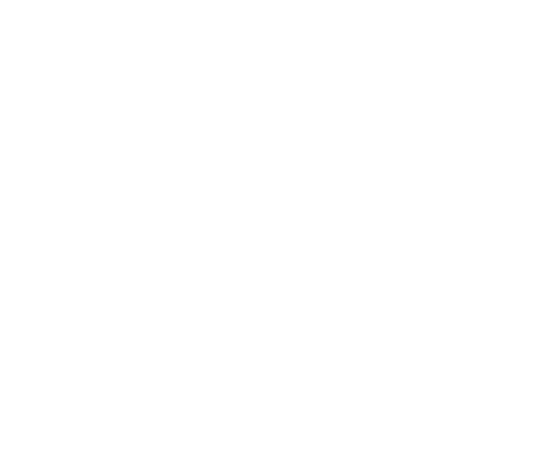 N1NJ10 Security Notes