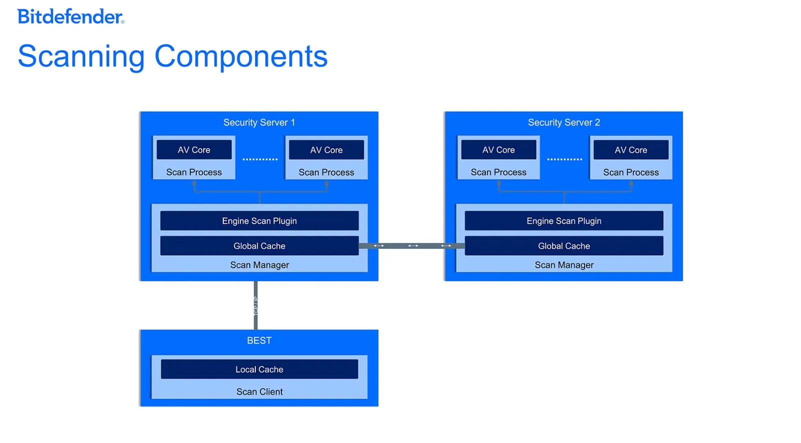 Screenshot - II. The Step-by-Step Scanning Workflow