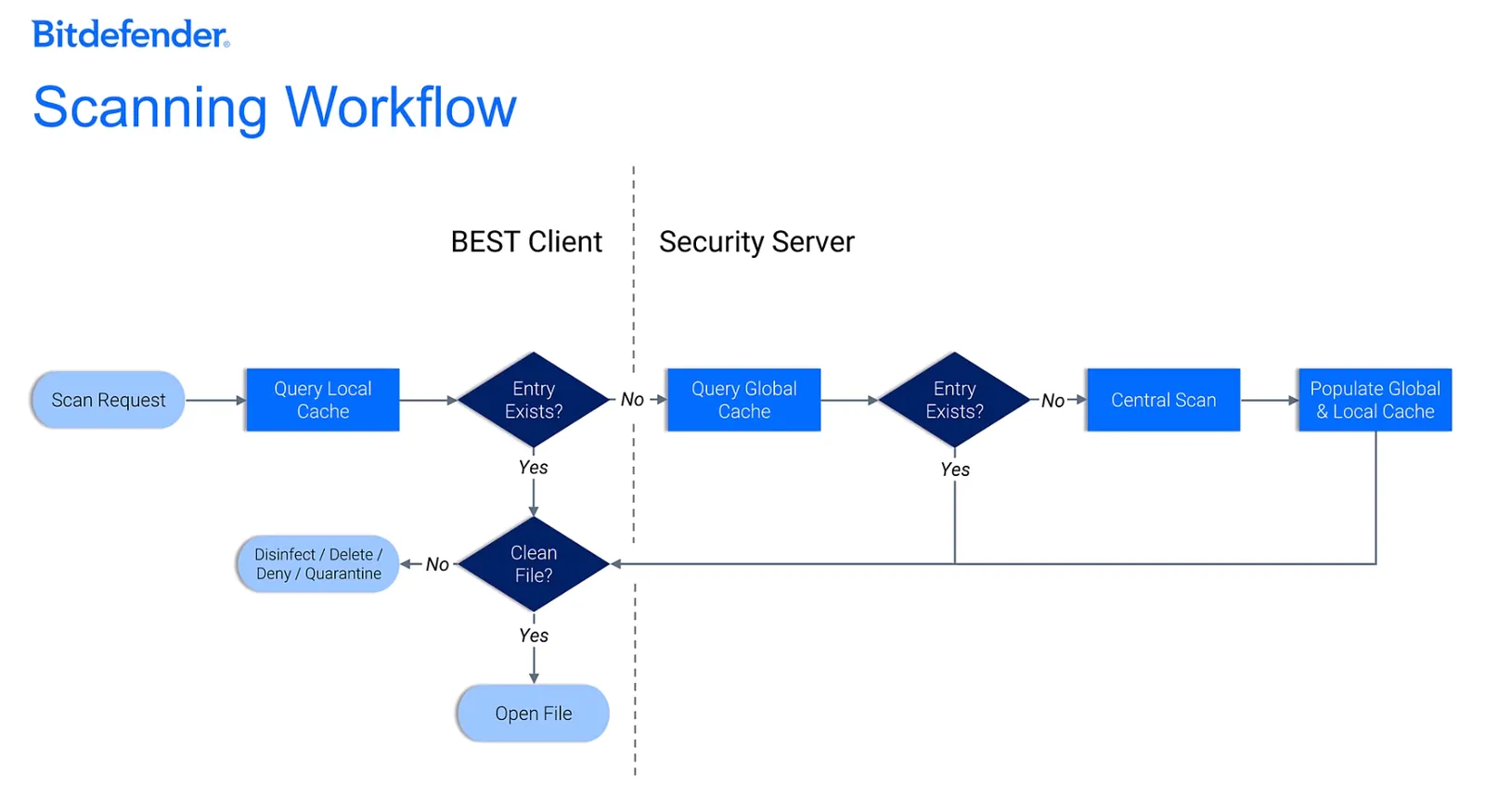 Screenshot - II. The Step-by-Step Scanning Workflow